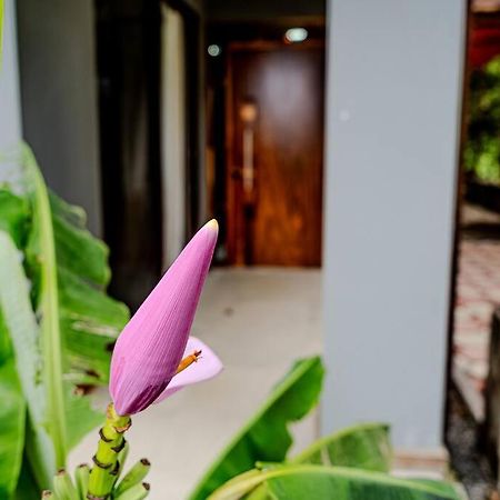 Cloud Forest House Monteverdes المظهر الخارجي الصورة