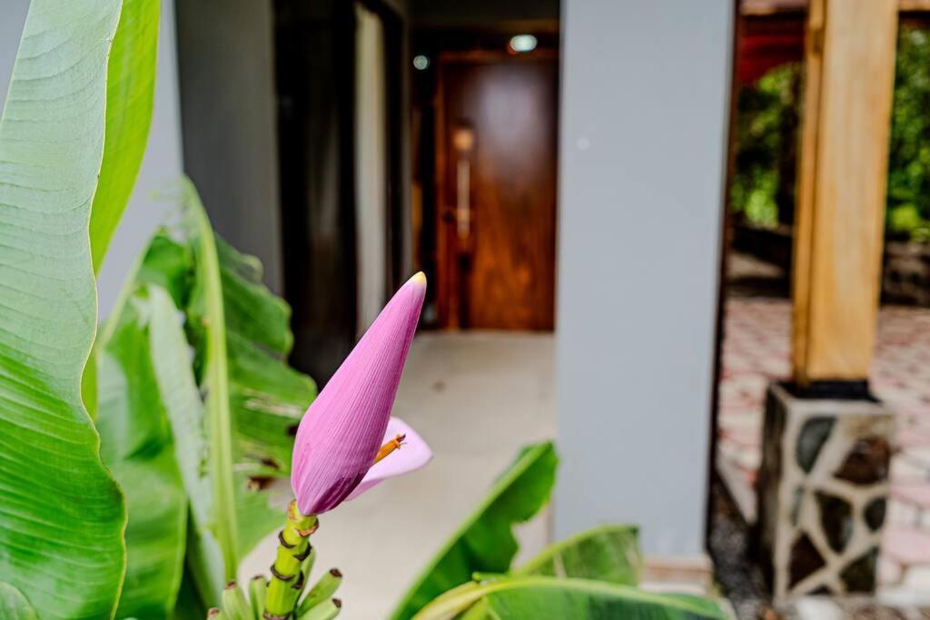 Cloud Forest House Monteverdes المظهر الخارجي الصورة